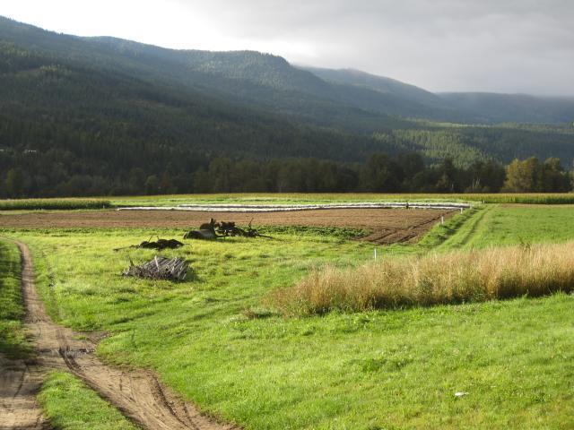 Farm_183_7271.jpg